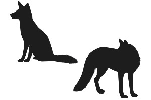 Fox Silhouette Set 1 Procreate Brush