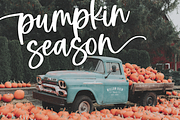 Delightful | Modern Script Font, a Script Font by KA Designs (Thumbnail 6 of 13)
