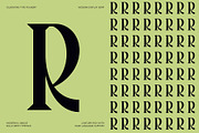 Tangled Rockaway Vintage Serif Font, a Serif Font by SilverStag Type Foundry (Thumbnail 9 of 18)