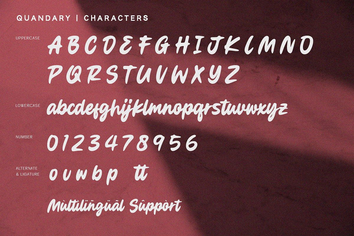 Quandary - Bold Script, a Script Font by Alpaprana (Photo 8 of 9)
