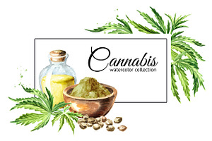 Cannabis. Watercolor collection, a Healthcare Illustration by Daria Ustiugova