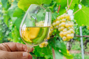 Glass of white wine in man hand, a Food & Drink Photo by Volff