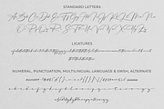 Hafidz – Luxury Signature Font, a Script Font by RedyStudio (Thumbnail 15 of 19)