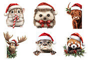 Quirky Christmas Animal Peeking Clip, a Seasonal Illustration by designcity5 (Thumbnail 4 of 5)