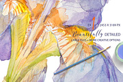 TheArtsyIrisCollection-Clipart, an Illustration by watercolorwild.graphics (Thumbnail 4 of 13)