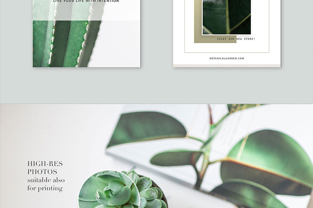 Plant series stock photos, a Nature Photo by Nellaino (Photo 2 of 6)
