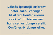 BN Bergen, a Sans Serif Font by Bnick (Thumbnail 7 of 11)