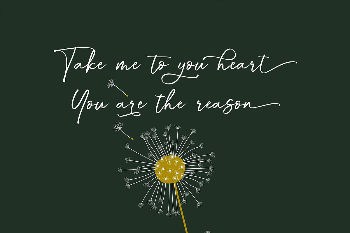 Through Script, a Script Font by moriztype (Photo 3 of 11)