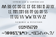 Birthday, a Script Font by FreshTypeINK (Thumbnail 2 of 8)