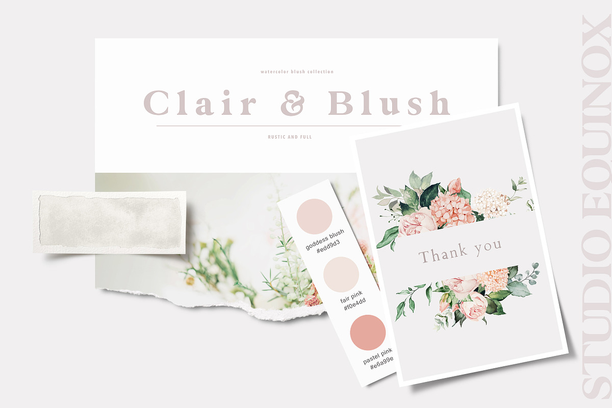 Clair & Blush - Summer Floral Set, an Illustration by studioequinox (Photo 14 of 14)