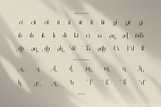Aginda Elegant Serif Font, a Serif Font by Perfectype (Thumbnail 8 of 8)