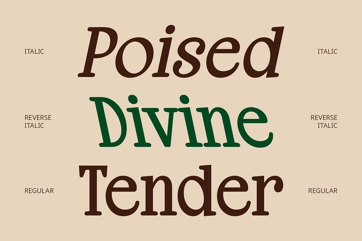 CS Eloise – Aesthetic Font, a Serif Font by Craft Supply Co. (Photo 3 of 8)