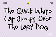 CS Raving – Messy Handwritten Font, a Handwritten Font by Craft Supply Co. (Thumbnail 6 of 8)