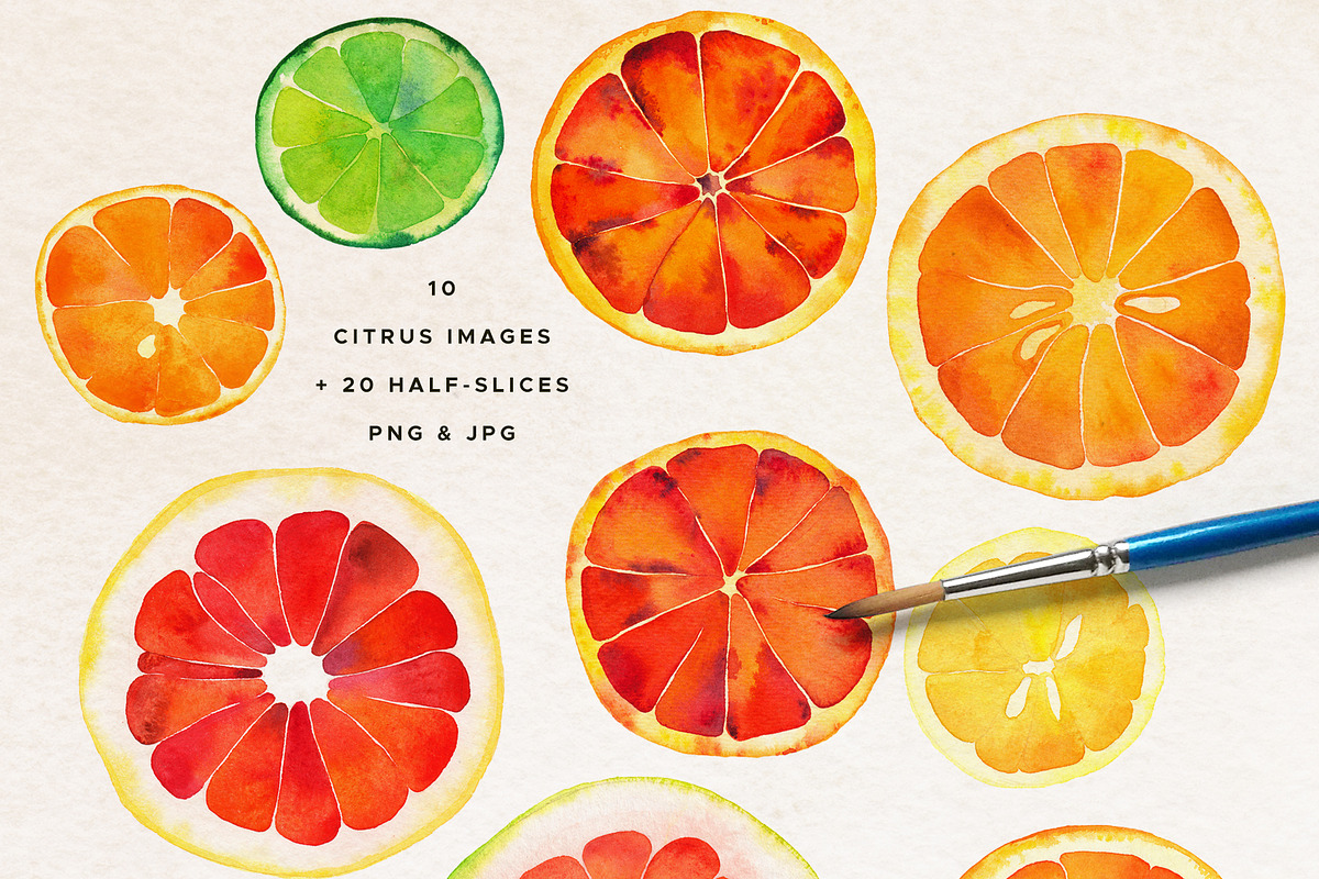 Watercolor Citrus Clipart Collection, a Food Illustration by Olga Begak Art & Design (Photo 2 of 10)