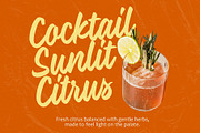 Indian Dunes – Modern Casual Script, a Handwritten Font by Four Lines Std. (Thumbnail 7 of 10)