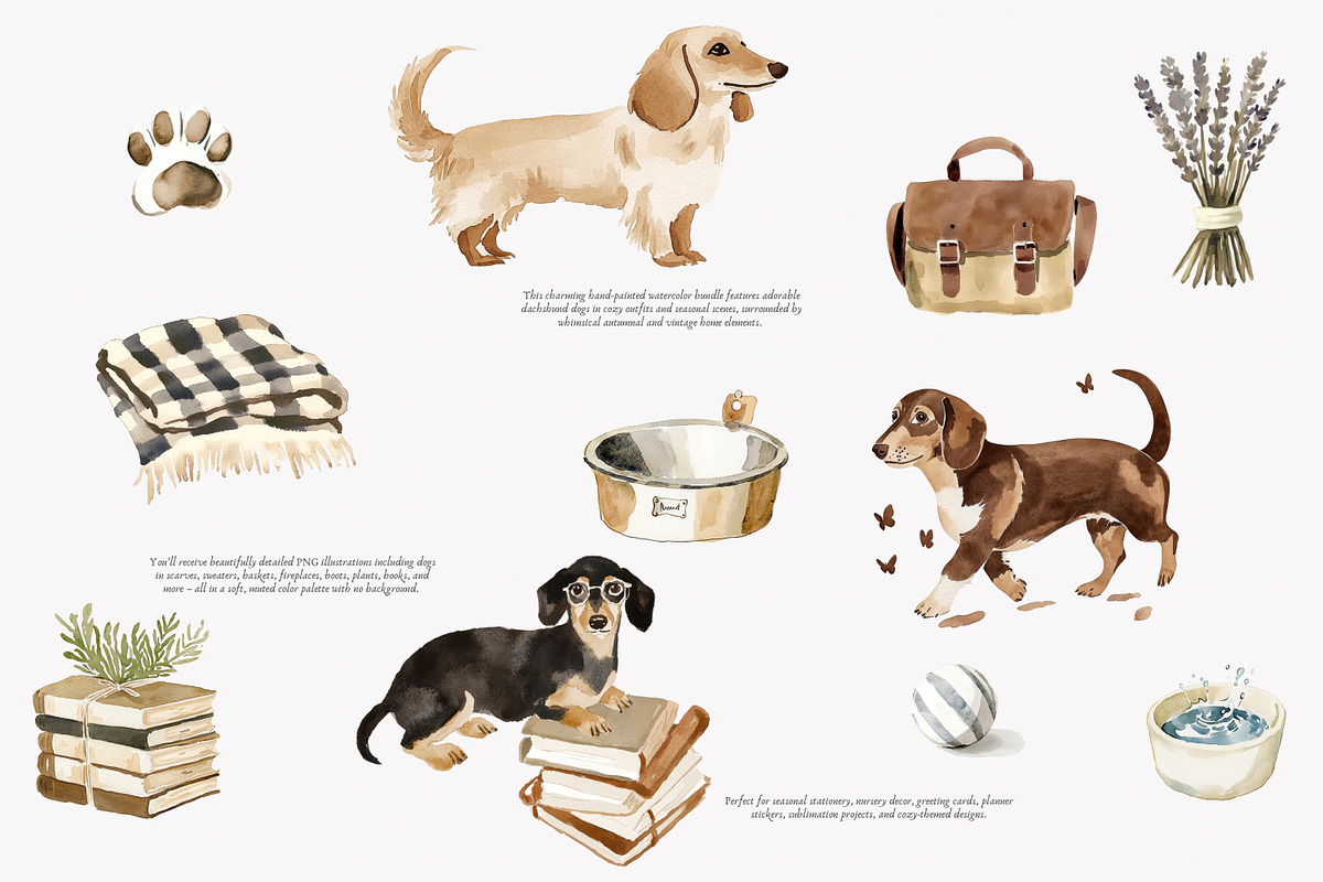 dachshund clipart cozy dog png, a Decorative Illustration by Patishop Art (Photo 3 of 10)
