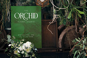Cravesh - Ligature serif font, a Serif Font by Almeera Std (Thumbnail 2 of 8)