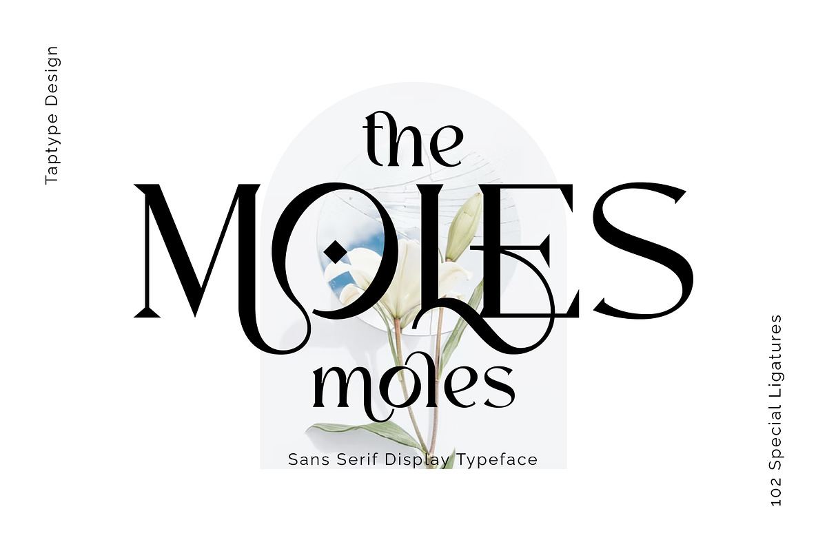 Moles - Serif Display Ligature Font, a Serif Font by Vesvocrea (Photo 1 of 9)