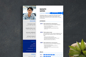 2 Nursing Resume Templates