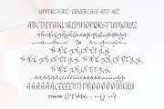 MY LOVE elegant, a Script Font by Letter-P (Thumbnail 10 of 10)