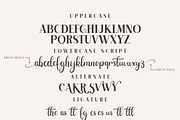 Advance Elegant, a Handwritten Font by Mini_World (Thumbnail 5 of 6)