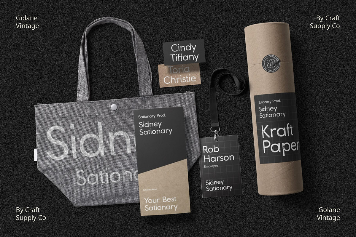 Golane Vintage, a Sans Serif Font by Craft Supply Co. (Photo 4 of 8)
