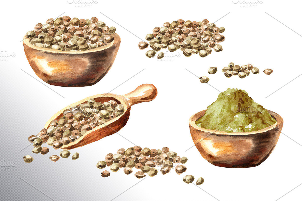 Cannabis. Watercolor collection, a Healthcare Illustration by Daria Ustiugova (Photo 11 of 12)