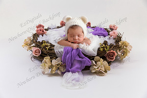 Newborn Digital Backdrop Rose Nest