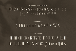 Wastogi Beautiful Serif