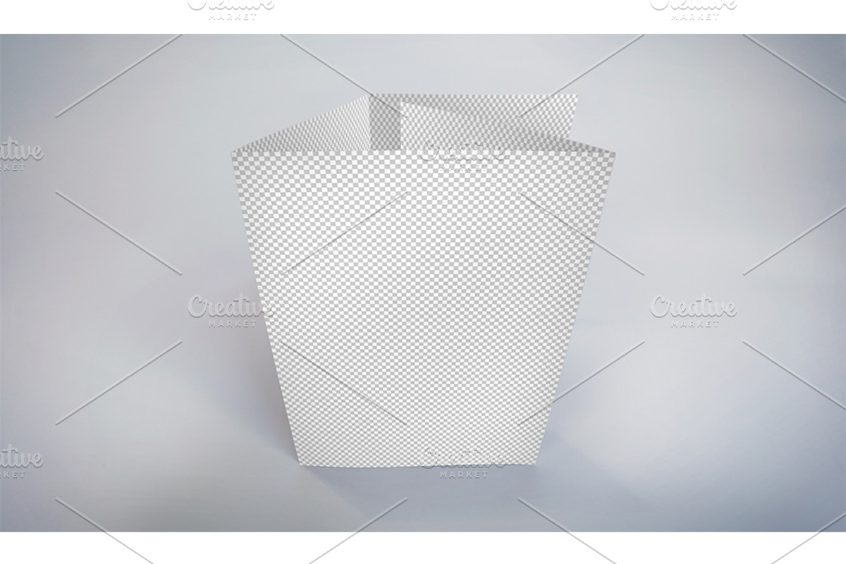 Gatefold Brochure Mockups, a Print Template by Shop Mockpro (Photo 5 of 14)