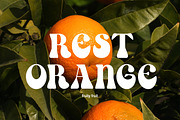 Echo | Retro Font, a Serif Font by Muntab_Art (Thumbnail 11 of 11)