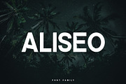 Aliseo Font Family - Sans Serif, a Sans Serif Font by RC graphics (Thumbnail 1 of 8)