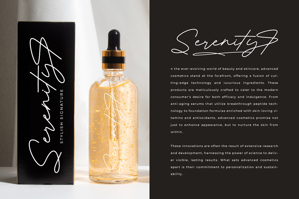 Antique Prestig Stylish Signature, a Script Font by stylishtype.co (Photo 5 of 20)