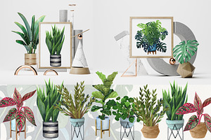 HousePlants Watercolor Set