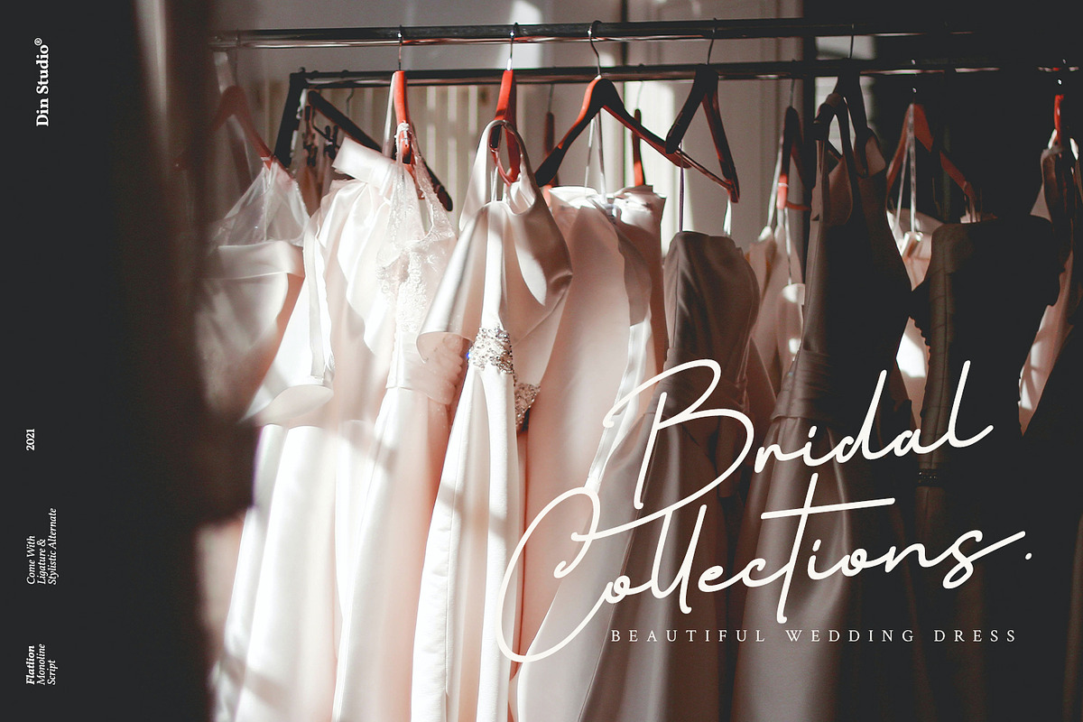 Flatlion Monoline Script Font, a Script Font by din-studio.com (Photo 3 of 10)