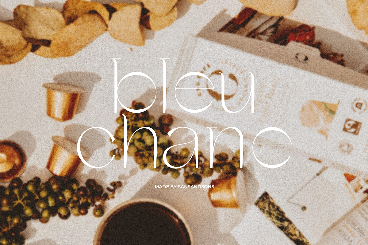 Charis - Moderne Sans, a Sans Serif Font by Sans & Sons (Photo 3 of 7)
