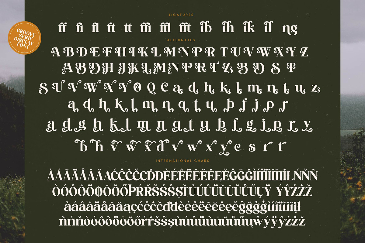 Brighto Wander Retro Serif Font, a Serif Font by timelesstype.co (Photo 19 of 20)