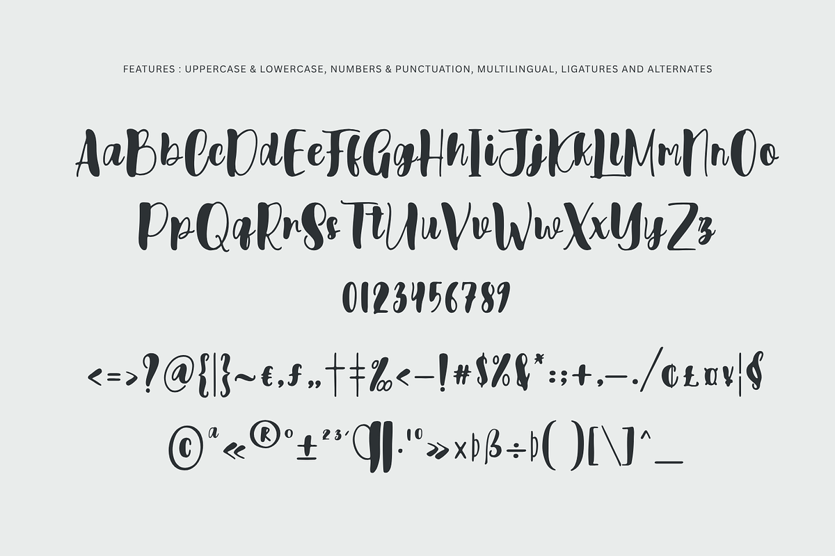 Scotland, a Script Font by Gatype (Photo 9 of 10)