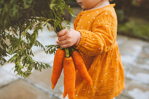 Child hand holding carrots healthy f