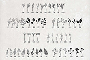 90 Botanical Stamps for Procreate, a Brush Add-On by Kiap (Thumbnail 3 of 6)