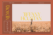 Demetras, a Serif Font by Propertype (Thumbnail 4 of 10)