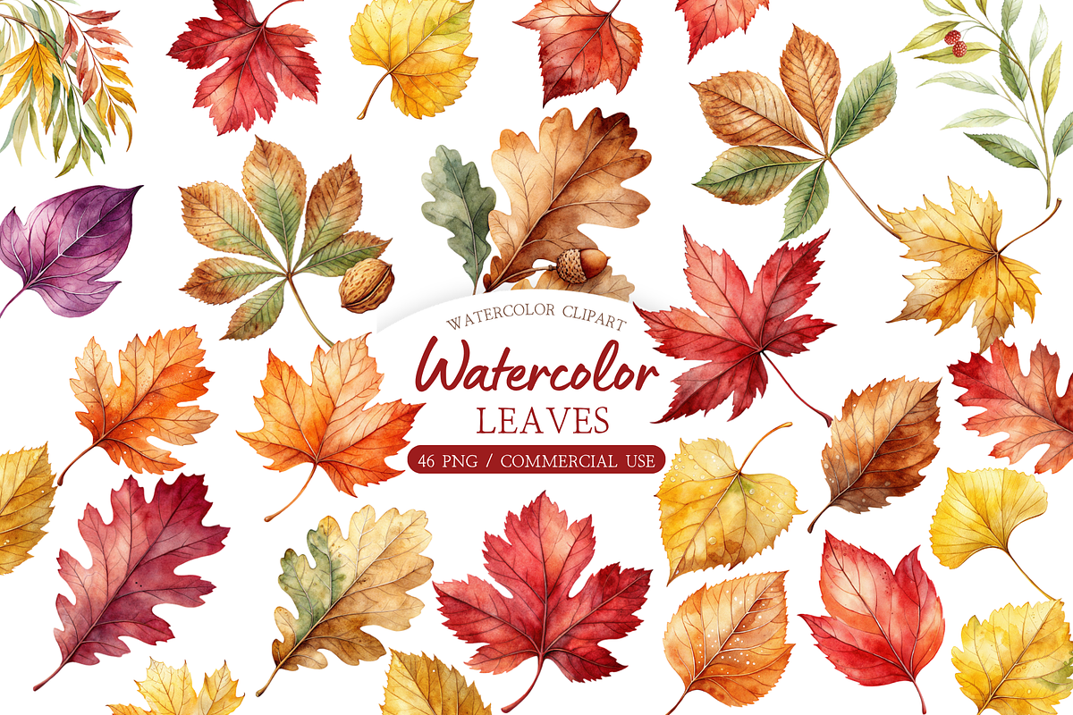 Autumn Leaves Clipart, a Decorative Illustration by MockupWizard (Photo 1 of 5)