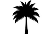 Universal Life Silhouette Collection, a Person Illustration by Designer_Momina (Thumbnail 27 of 50)