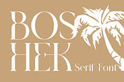 BOSHE Modern Serif Font, a Serif Font by BOOSH Studio (Thumbnail 2 of 12)