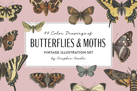 Butterflies & Moths Vintage Graphics
