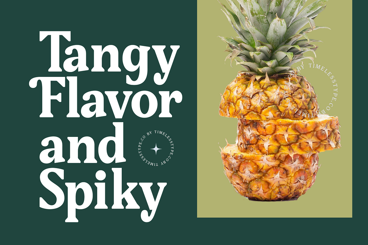 Gafjust Minfine Modern Serif, a Serif Font by timelesstype.co (Photo 11 of 20)