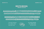 Peter Crafter a Font Duo, a Sans Serif Font by Rasiorise Studio (Thumbnail 7 of 12)