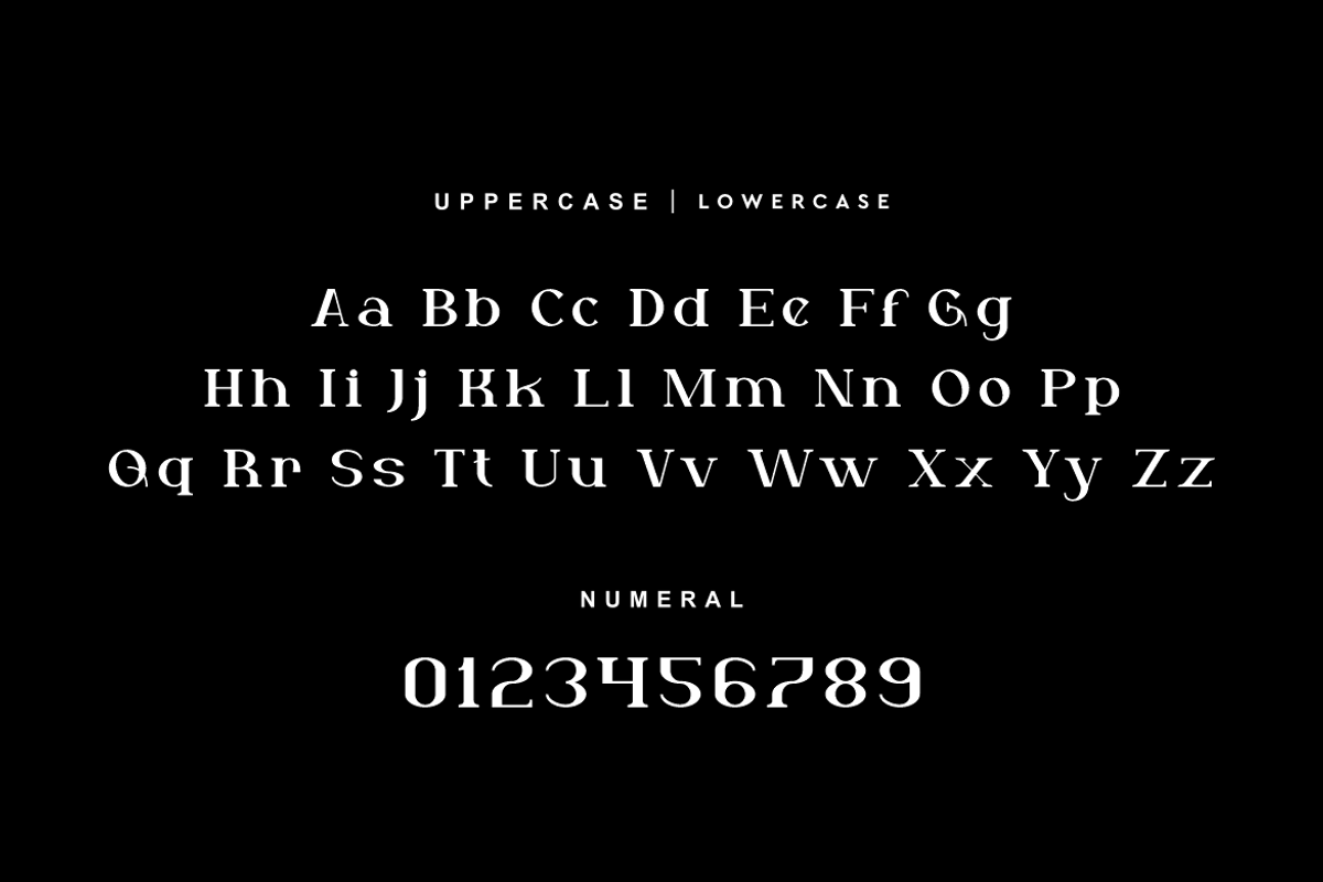 Wotche - Modern Fashion Font, a Serif Font by QR Design Studio (Photo 7 of 13)