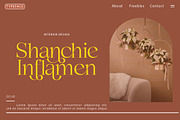 Demetras, a Serif Font by Propertype (Thumbnail 2 of 10)