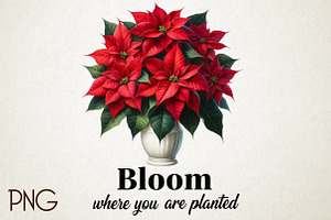 Christmas Poinsettia Flower PNG Clip, an Illustration by RobertsArt
